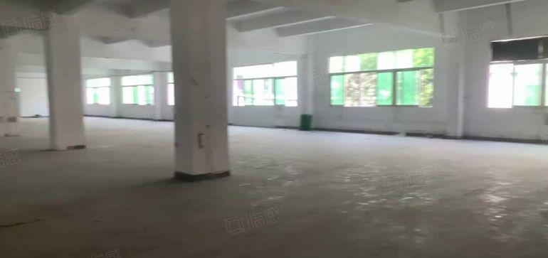 14元龙岗深汕路义乌旁边附近3楼1000平厂房仓库出租有电梯