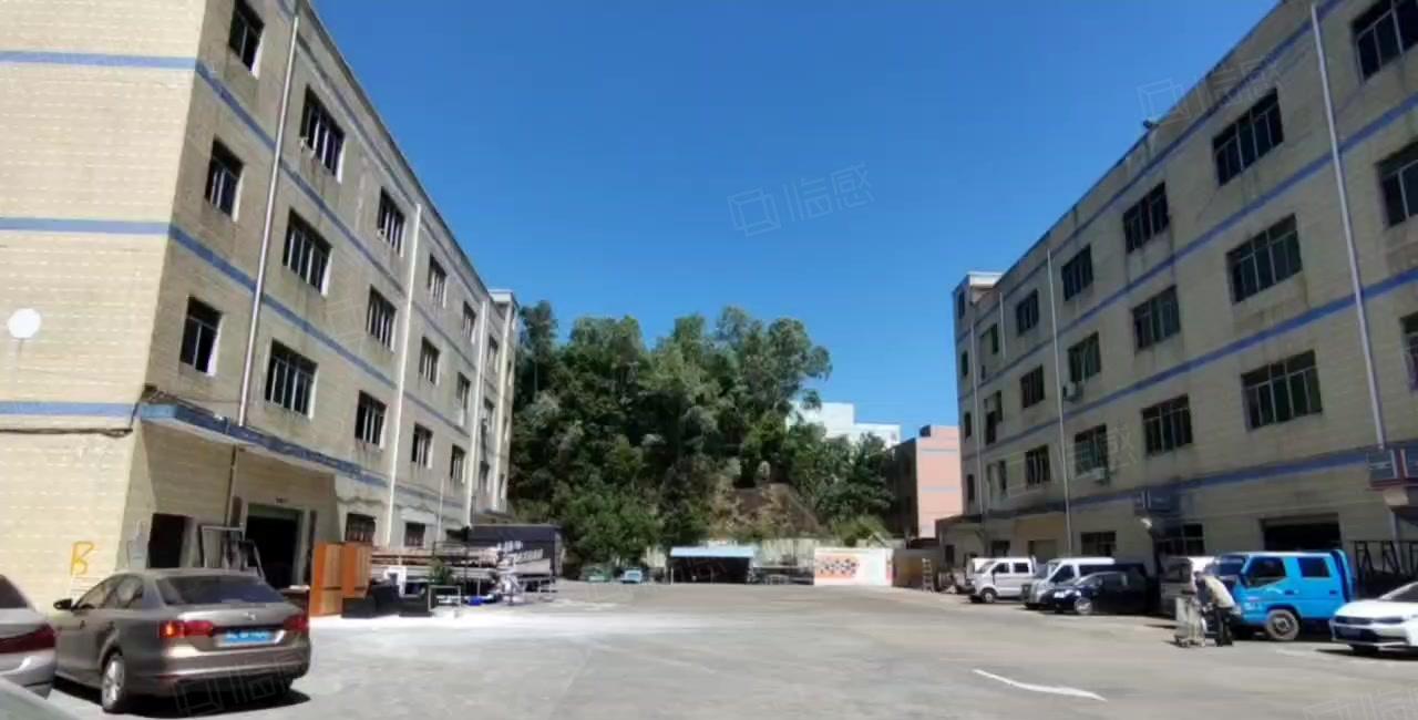 原房东龙岗新生楼上1480平厂房仓库出租无公摊可分租带地坪漆