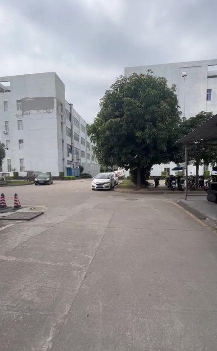 龙岗中心城龙西原房东直租一楼厂房500平方，可分租合同6年
