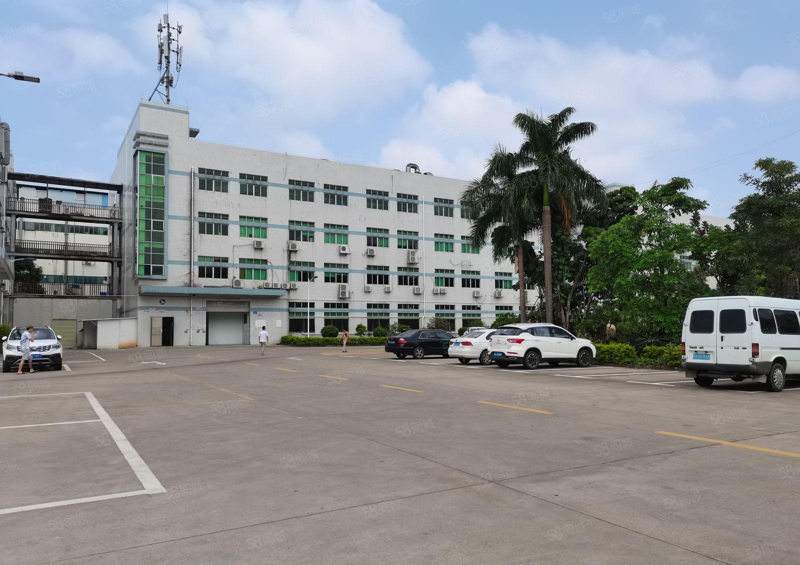 龙岗嶂背原房东独院2300平带前台和精装修办公出租厂房可分租