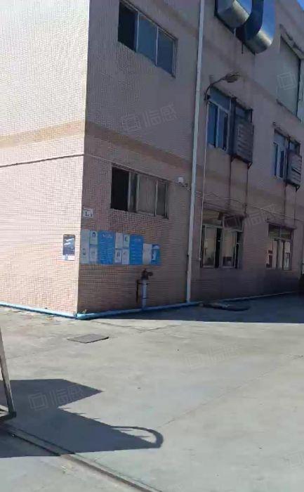 平湖独院新出一楼1000平方厂房仓库出租可分租空地大交通便利