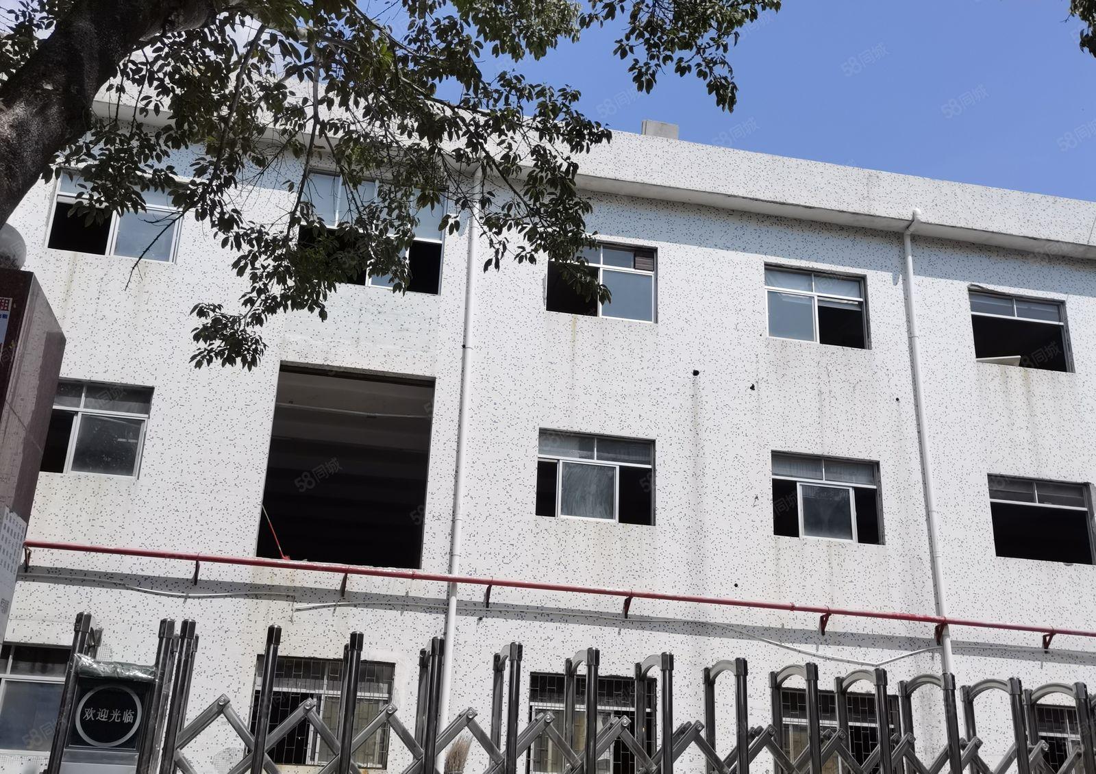 横岗原房东独门独户3400平方