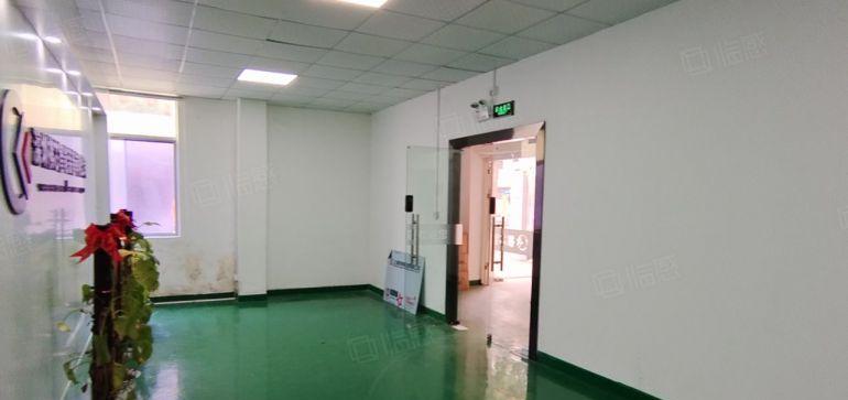 布吉李郎科技园楼上新出300平现成装修办公室仓库厂房低价出租