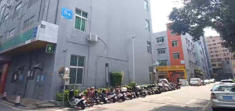 村委直租 南岭独院厂房一楼二楼各1500平仓库厂房出租可分租