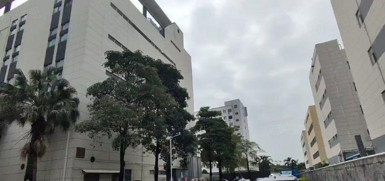 布吉地铁站原房东精装修1000平方办公室厂房超大空地低价出租