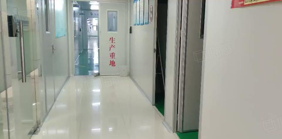 无尘车间！带装修！无转让费！生物医药厂房2700平即租即用