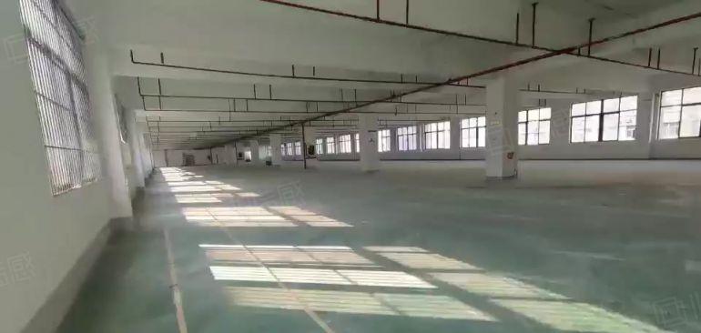 布吉百鸽笼工业园低价直租300至2000平厂房仓库出租可分租