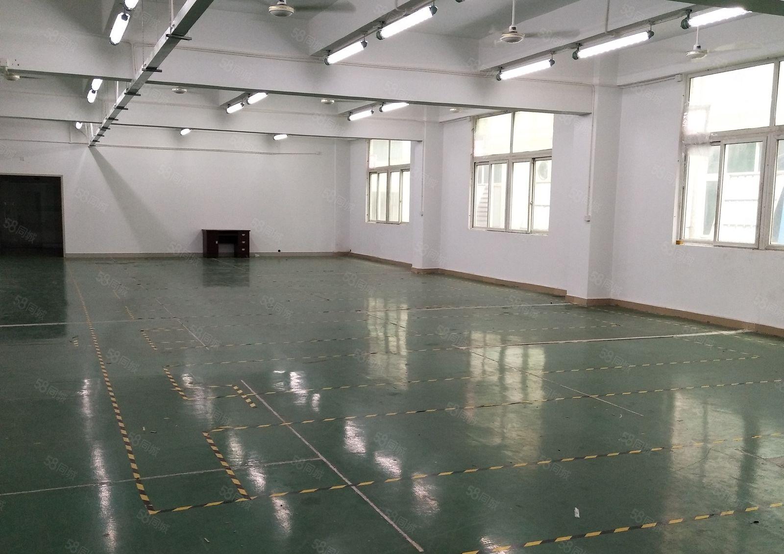 丹竹头地铁站附近新出三楼480平带装修厂房出租
