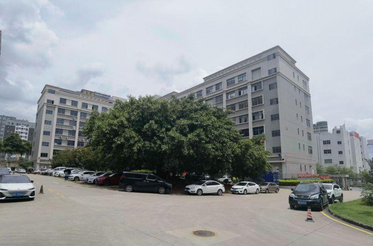 布吉李朗科技园200平起租精装电商办公厂房出租一楼仓库可分租