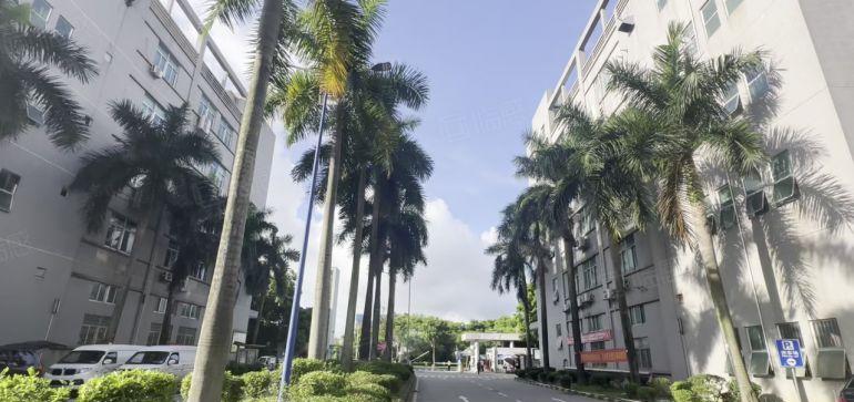 布吉丹竹头原房东大型科技园楼上精装修500平方办公厂房出租