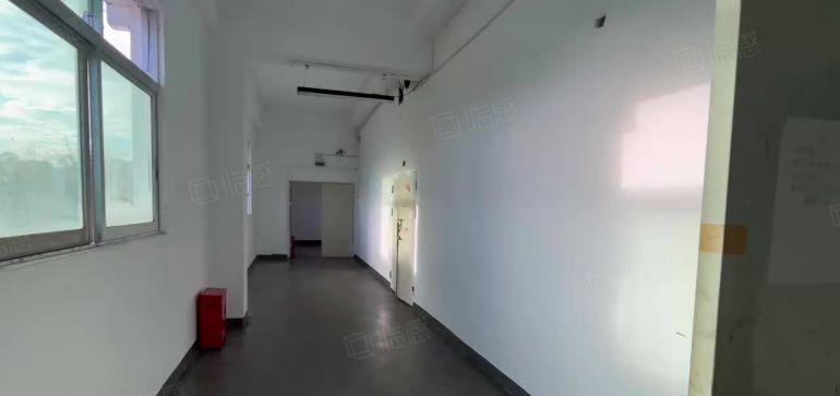 18元548厂房出租2吨货梯房东直租龙岗李朗