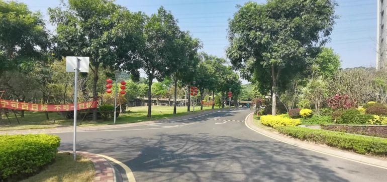 楼村地铁口原房东工业园1000平豪华精装修带家具整层厂房出租