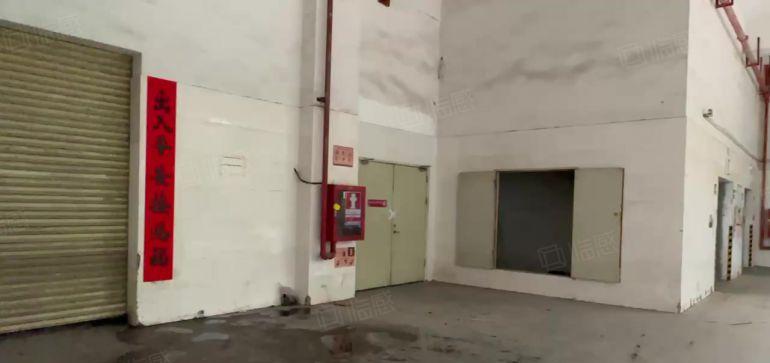 实际面积出租，光明主干道旁高新园区一楼2000平，带卸货台