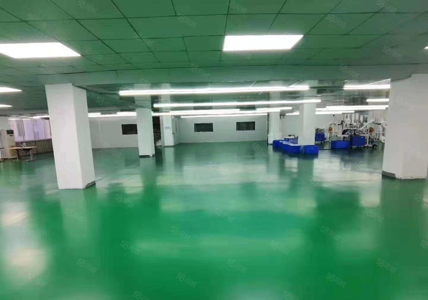 公明田寮楼上厂房出租（1000平，17元） 房东急租