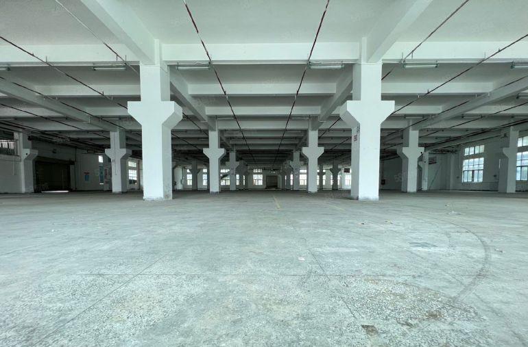 光明厂房出租带装修5000平厂房出租可分租工业园低价仓库出租
