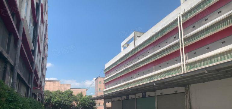 全年免租光明中心地段新出13万平高新红本园区100平起分租