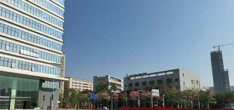 光明全新玻璃幕墙政府项目实际面积无公摊