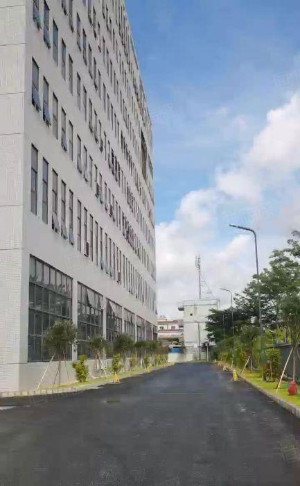 公明田寮高速出口100000平红本国高补贴厂房（500起租）