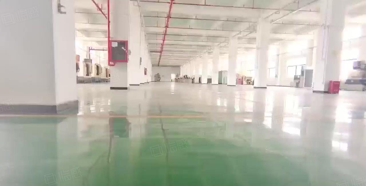 合同十年一手房东直租光明龙大高速旁独院厂房仓库8000平出租