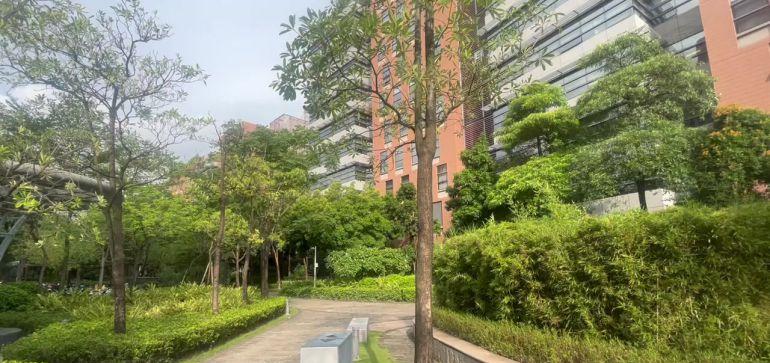 光明 国资委高薪园区2万平直租 500起分办公研发厂房出租