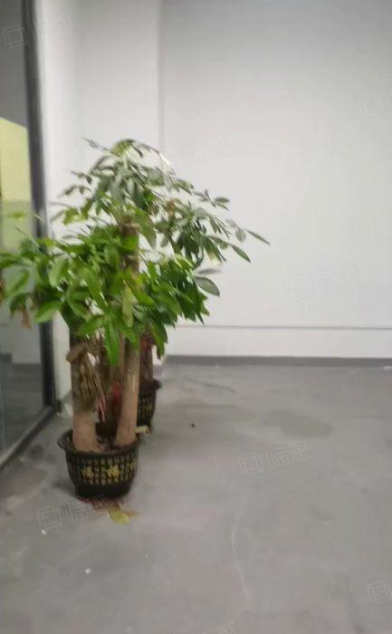 公明镇中心重工业厂房出租850平带多间精装办公室，5吨货梯