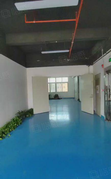 公明根玉路旁实际面积出租（900平重工业厂房，一整层格局好）