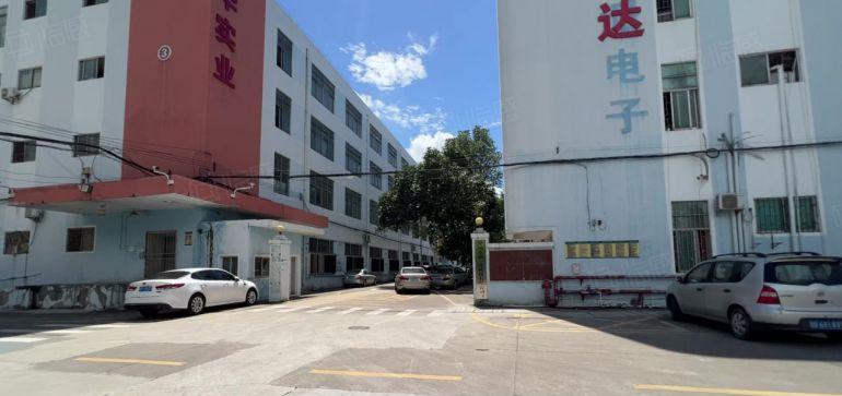 空地超大村委厂房直租坪山科技园一楼600平带装修仓库厂房出租