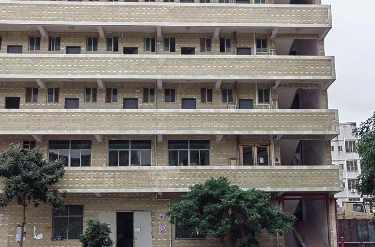 坑梓独院整栋厂房宿舍大路边高速旁付五层宿舍