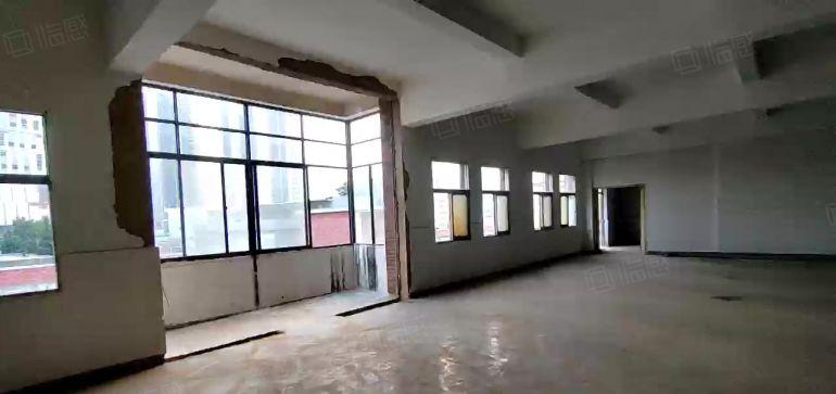 1000平方一层龙田街道全新标准厂房出租性价比高停车免费