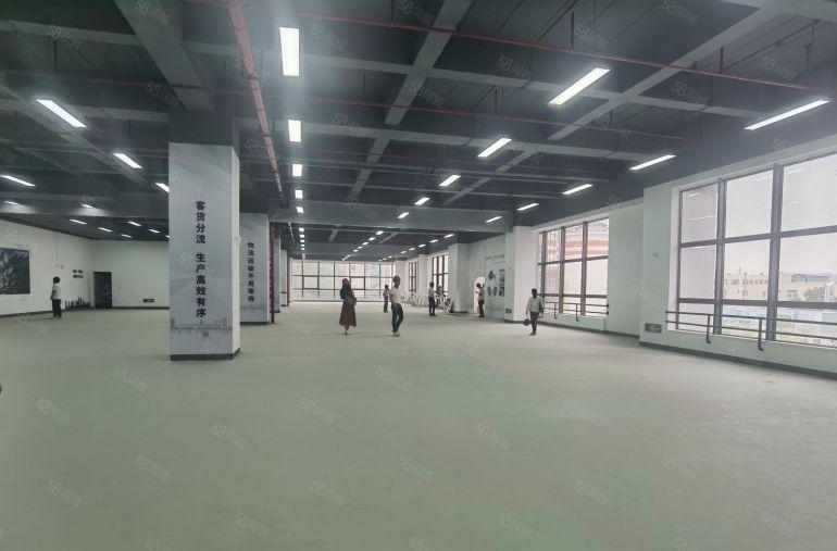 深圳坪山地铁站1000平精装修物流仓库电商办公低价出租可分租