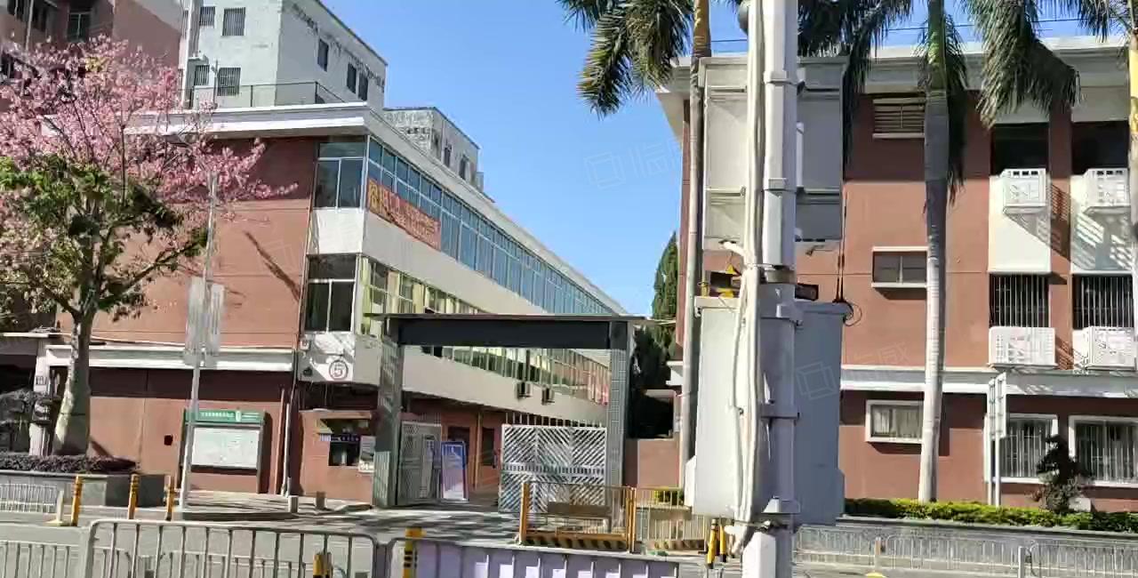 300平起租坪山坑梓秀新原房东精装修可办公厂房仓库出租