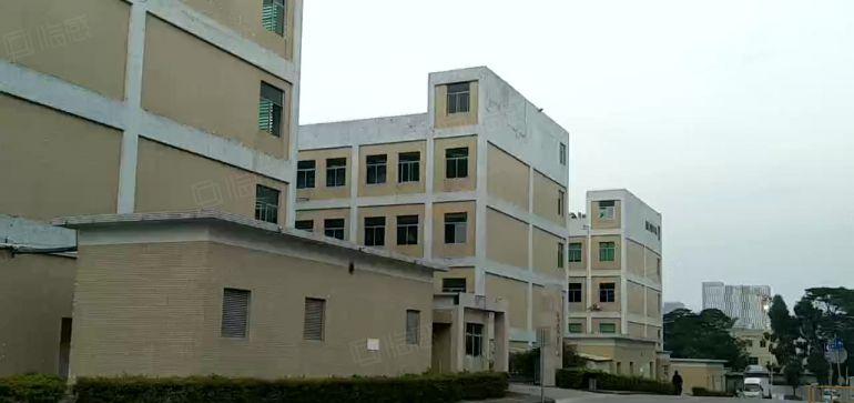 合同10年）坪山坑梓新出原房东独院7000平实际面积厂房出租