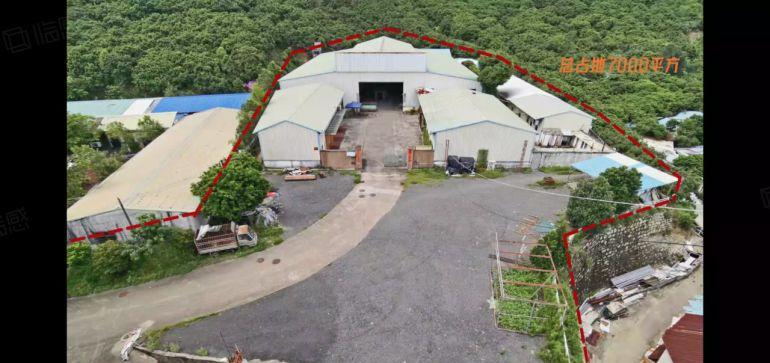 南山西丽  独门独院6000平  可整租可分租 空地超大