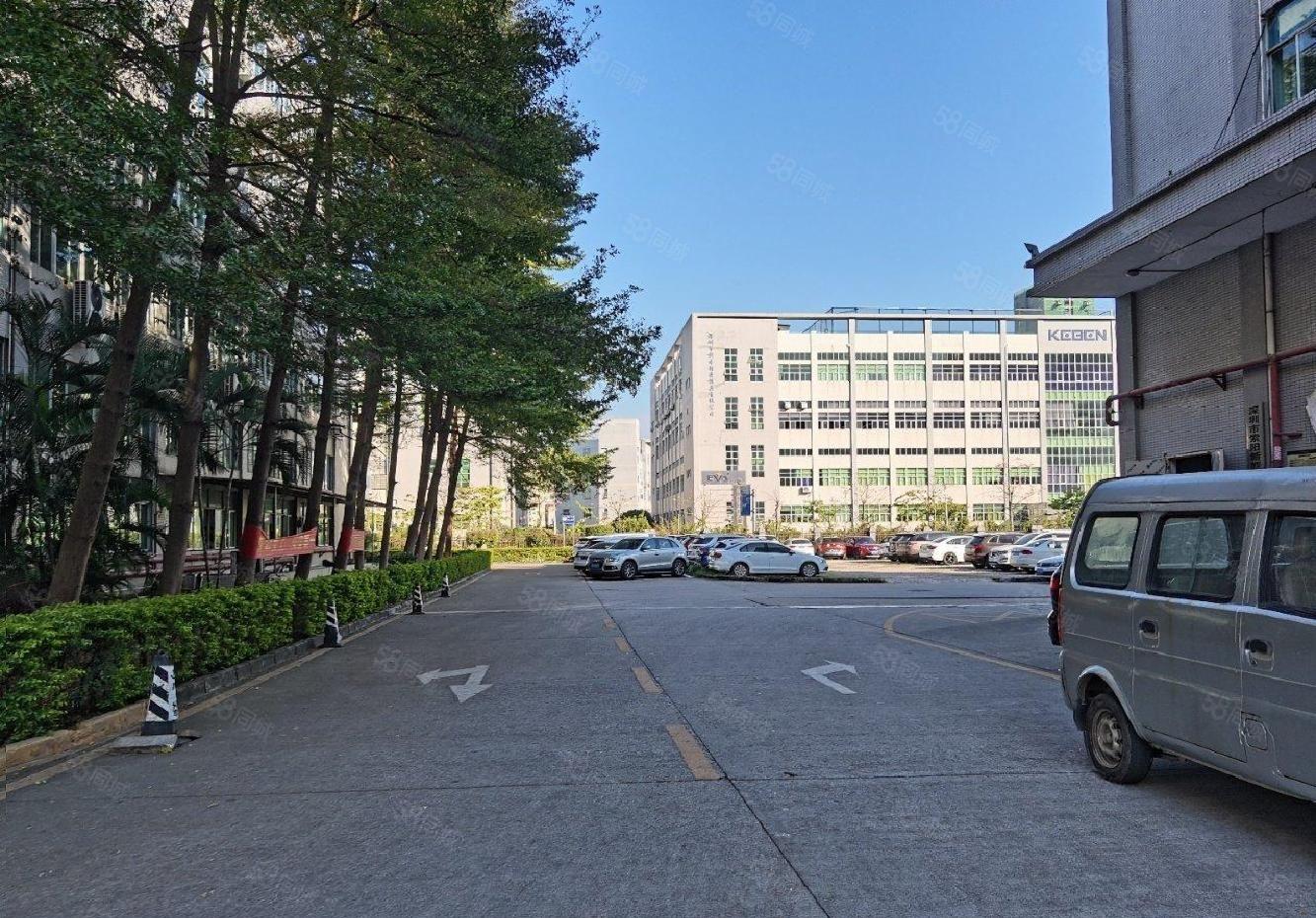 公明原房东高新园区在红本厂房独栋一楼一整层1800平方
