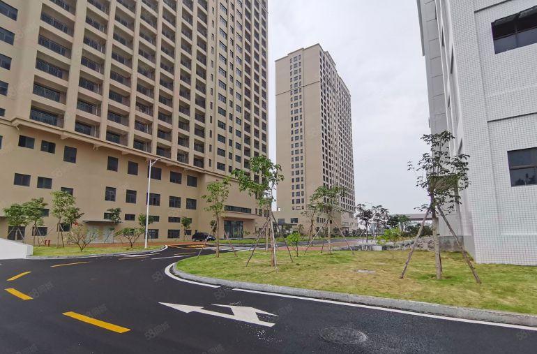 100平起租西丽阳光工业区厂房出租25元起一楼仓库招租合租