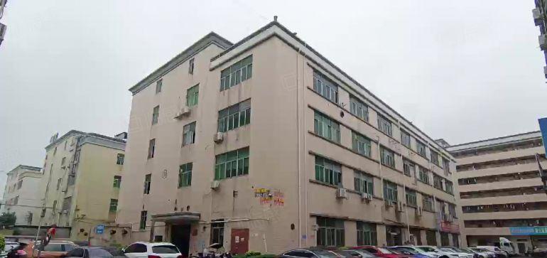 东莞塘厦一楼300平起分租2000平厂房出租低价分租仓库出租