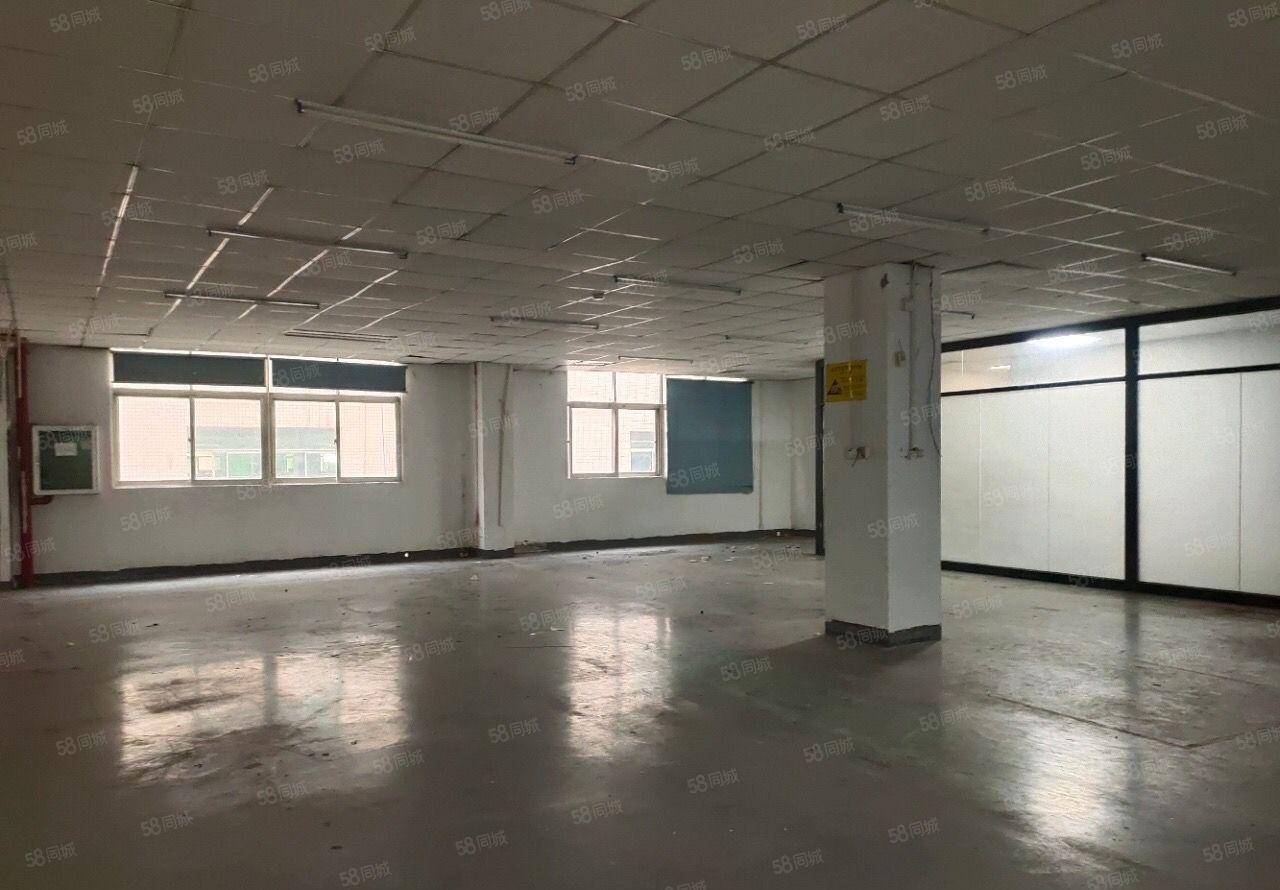 固戍大型工业区近梧桐岛260平精装修厂房招租 电商仓库