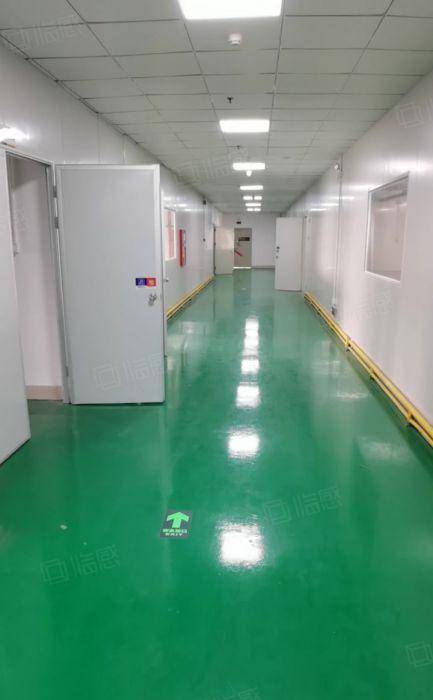 平湖靠近凤岗无尘车间2500平方出租全新装修无转让费可分租