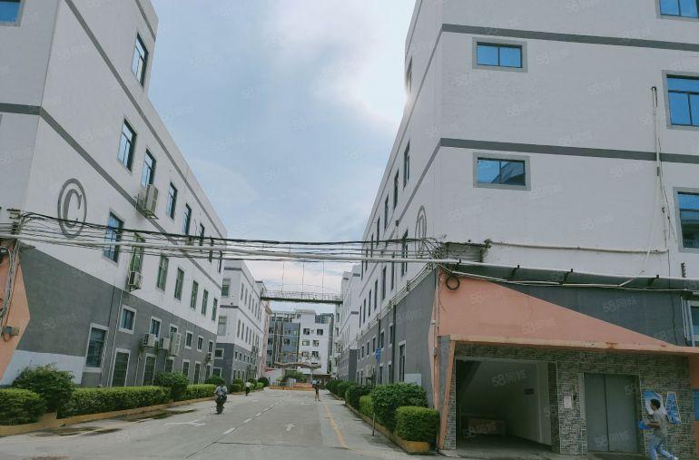 观澜福民龙观快线新出单层面积2800平米租24元