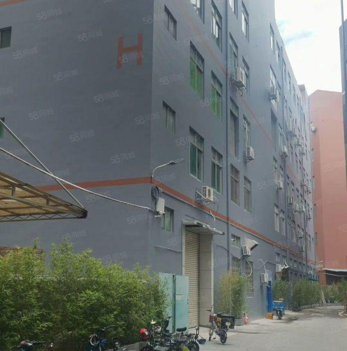南山西丽地铁站小面积135，200，300平办公仓库水电齐全