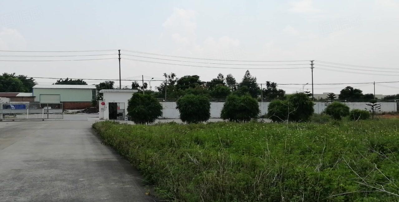 南山原房东独院厂房仓库500平1000平2000平出租