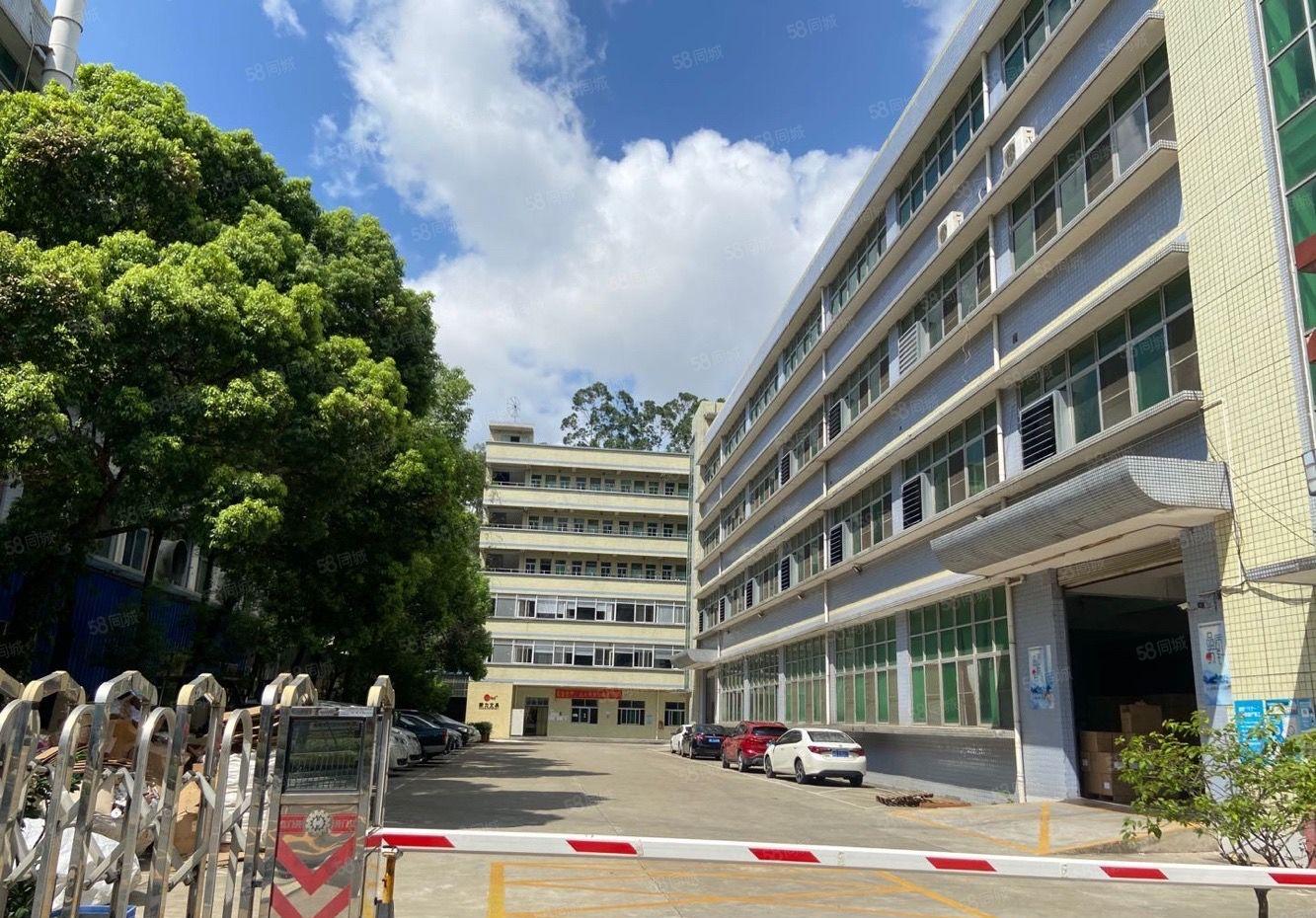 龙华观澜1.25万平方独门独院原房东8成使用率仓库厂房出租