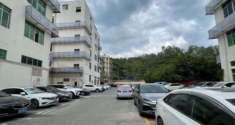 南山百旺1300平原淘宝直播装修水电完善可办公研发