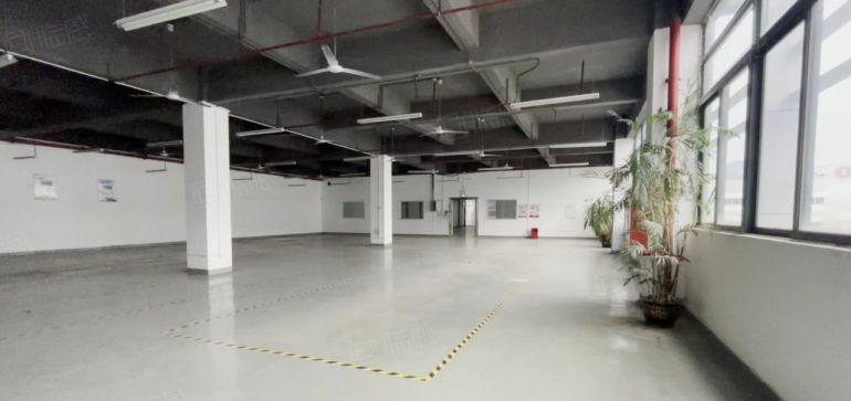 西丽百旺信高科技工业园精装整层2780平可分租