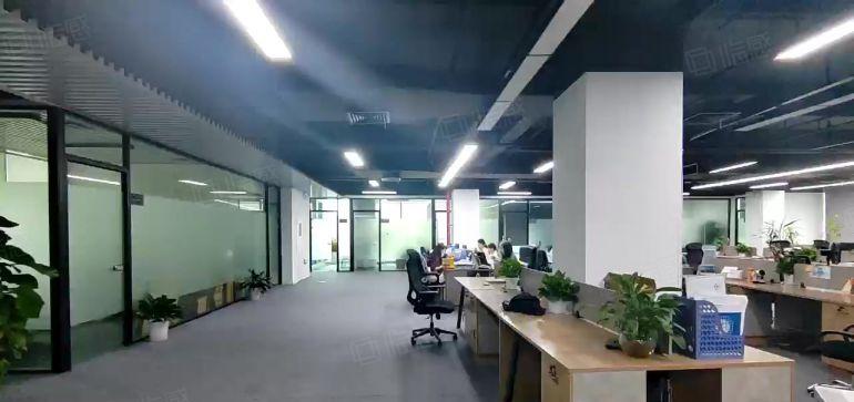 南山开发商花园式豪华装修红本厂房3800平，实际面积出租
