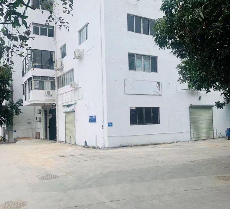 南山蛇口一楼带后花园可配送中央厨房再生资源收废品等不限行业