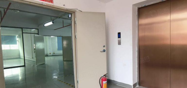 南山西丽 创意研发产业园 新出整层小面积厂房 环境非常好