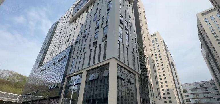 1000平起分松山湖开发商全新产业园装修办公仓库厂房出租分租